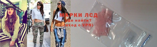 прущие грибы Нея