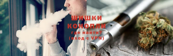 прущие грибы Нея