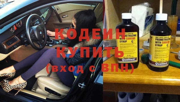 прущие грибы Нея