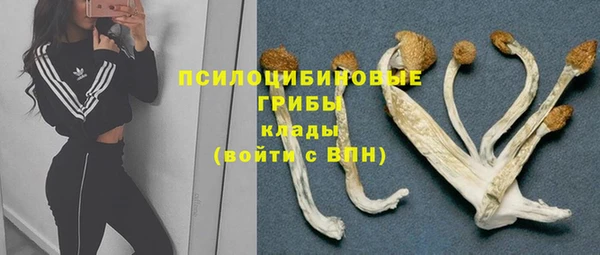 синтетический гашиш Нефтекумск