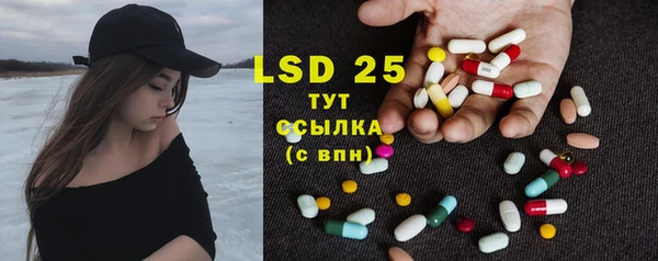 прущие грибы Нея