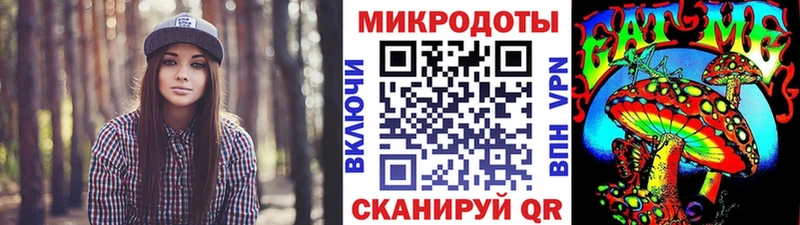купить   Поворино  Галлюциногенные грибы Psilocybe 